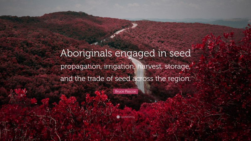 Bruce Pascoe Quote: “Aboriginals engaged in seed propagation, irrigation, harvest, storage, and the trade of seed across the region.”