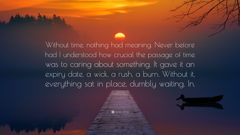 Marisha Pessl Quote: “Without time, nothing had meaning. Never before had I understood how crucial the passage of time was to caring about something. It gave it an expiry date, a wick, a rush, a burn. Without it, everything sat in place, dumbly waiting. In.”