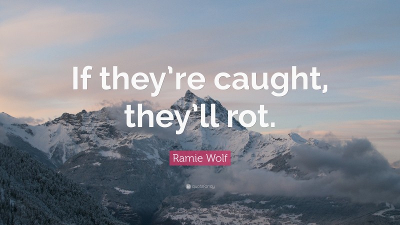 Ramie Wolf Quote: “If they’re caught, they’ll rot.”