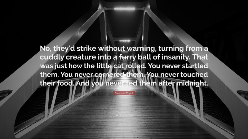 Suzanne Wright Quote: “No, they’d strike without warning, turning from a cuddly creature into a furry ball of insanity. That was just how the little cat rolled. You never startled them. You never cornered them. You never touched their food. And you never fed them after midnight.”