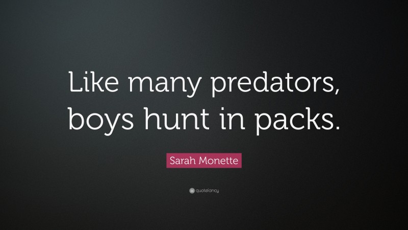 Sarah Monette Quote: “Like many predators, boys hunt in packs.”