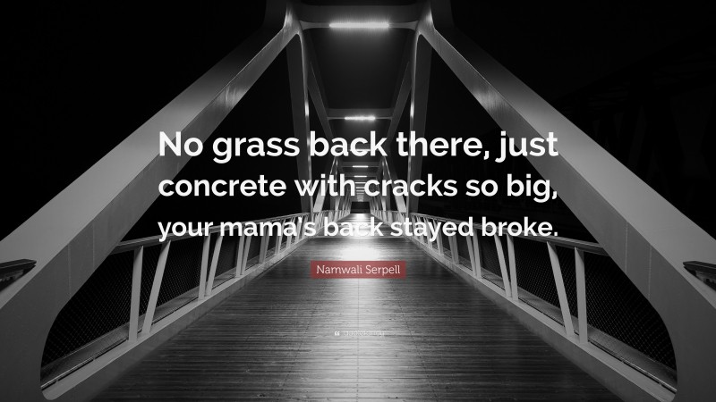 Namwali Serpell Quote: “No grass back there, just concrete with cracks so big, your mama’s back stayed broke.”