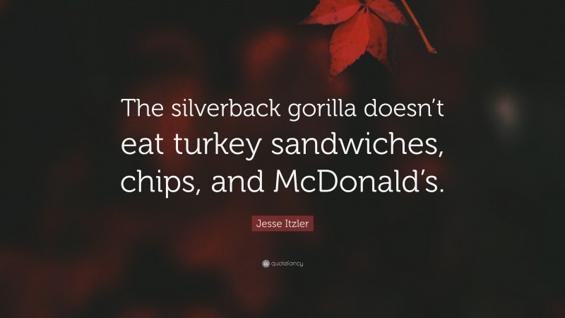 Jesse Itzler Quote: “The silverback gorilla doesn’t eat turkey sandwiches, chips, and McDonald’s.”