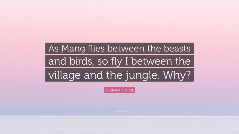 Rudyard Kipling Quote: “As Mang flies between the beasts and birds, so fly I between the village and the jungle. Why?”