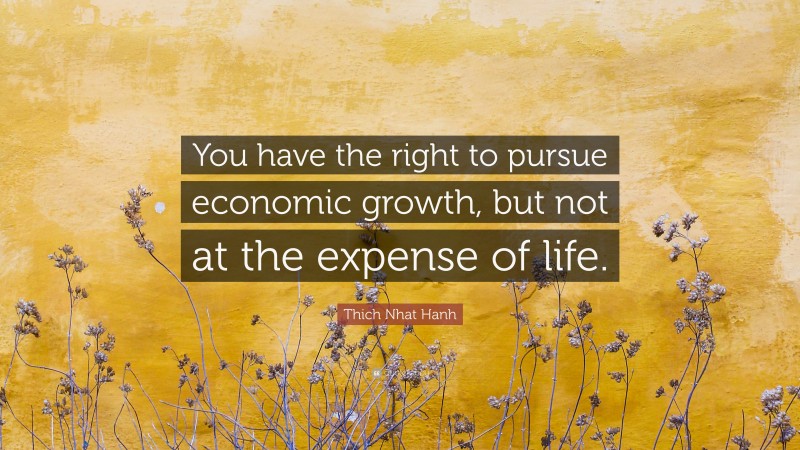 Thich Nhat Hanh Quote: “You have the right to pursue economic growth, but not at the expense of life.”