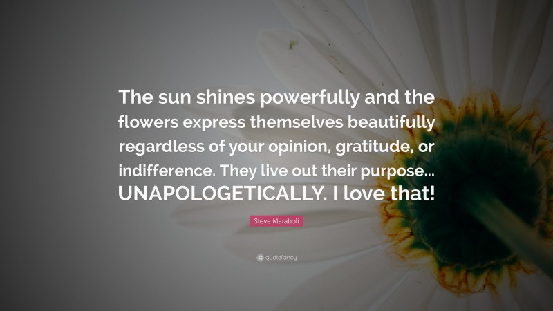 Steve Maraboli Quote: “The sun shines powerfully and the flowers express themselves beautifully regardless of your opinion, gratitude, or indifference. They live out their purpose... UNAPOLOGETICALLY. I love that!”