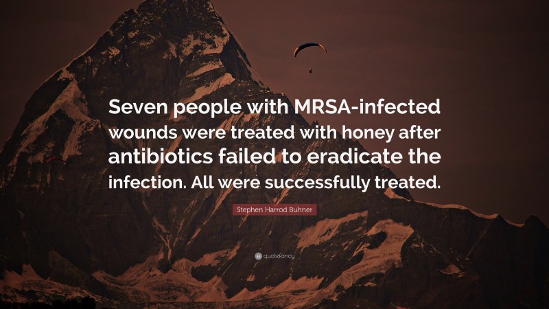 Stephen Harrod Buhner Quote: “Seven people with MRSA-infected wounds were treated with honey after antibiotics failed to eradicate the infection. All were successfully treated.”