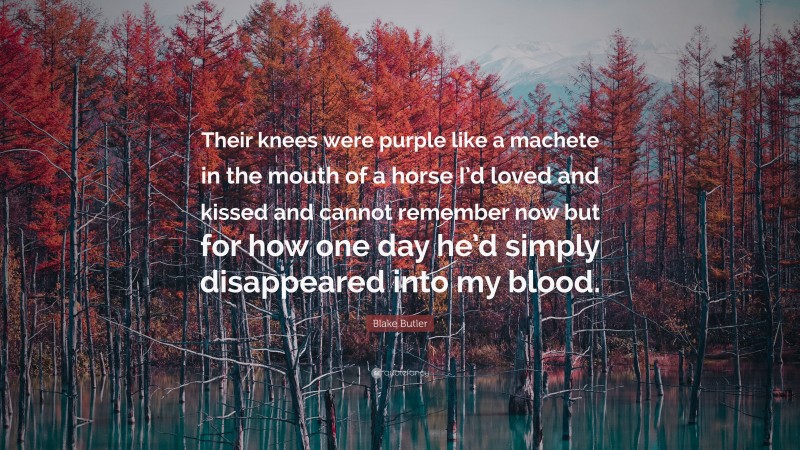 Blake Butler Quote: “Their knees were purple like a machete in the mouth of a horse I’d loved and kissed and cannot remember now but for how one day he’d simply disappeared into my blood.”
