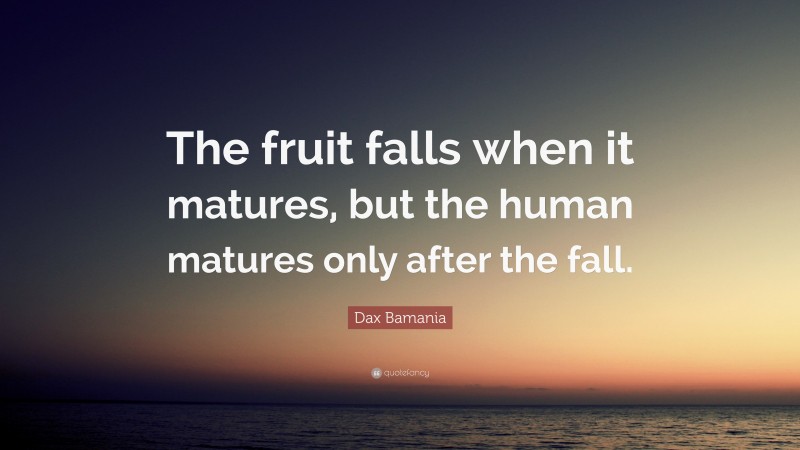 Dax Bamania Quote: “The fruit falls when it matures, but the human matures only after the fall.”