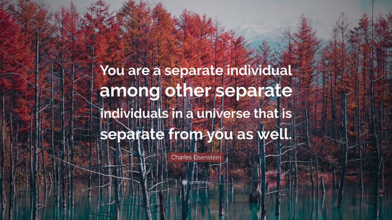 Charles Eisenstein Quote: “You are a separate individual among other separate individuals in a universe that is separate from you as well.”