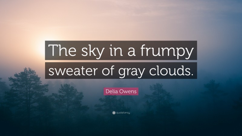 Delia Owens Quote: “The sky in a frumpy sweater of gray clouds.”