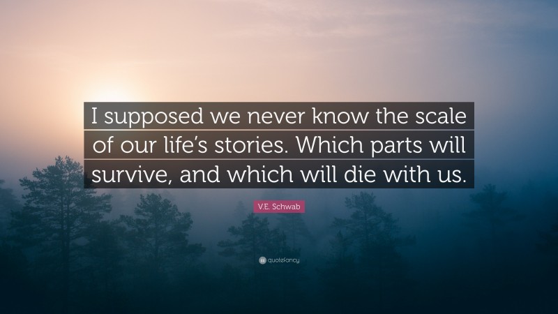 V.E. Schwab Quote: “I supposed we never know the scale of our life’s stories. Which parts will survive, and which will die with us.”