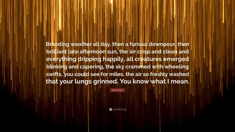Brian Doyle Quote: “Brooding weather all day, then a furious downpour, then brilliant late afternoon sun, the air crisp and clean and everything dripping happily, all creatures emerged blinking and capering, the sky crammed with wheeling swifts, you could see for miles, the air so freshly washed that your lungs grinned. You know what I mean.”