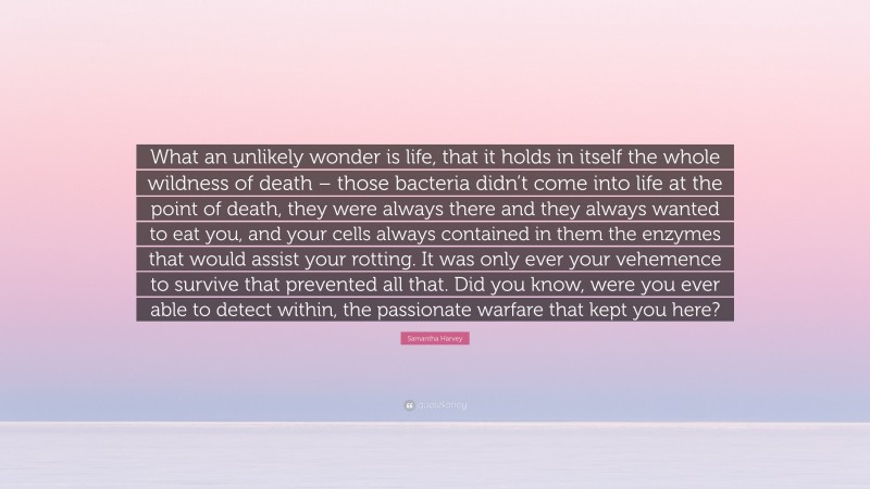 Samantha Harvey Quote: “What an unlikely wonder is life, that it holds in itself the whole wildness of death – those bacteria didn’t come into life at the point of death, they were always there and they always wanted to eat you, and your cells always contained in them the enzymes that would assist your rotting. It was only ever your vehemence to survive that prevented all that. Did you know, were you ever able to detect within, the passionate warfare that kept you here?”