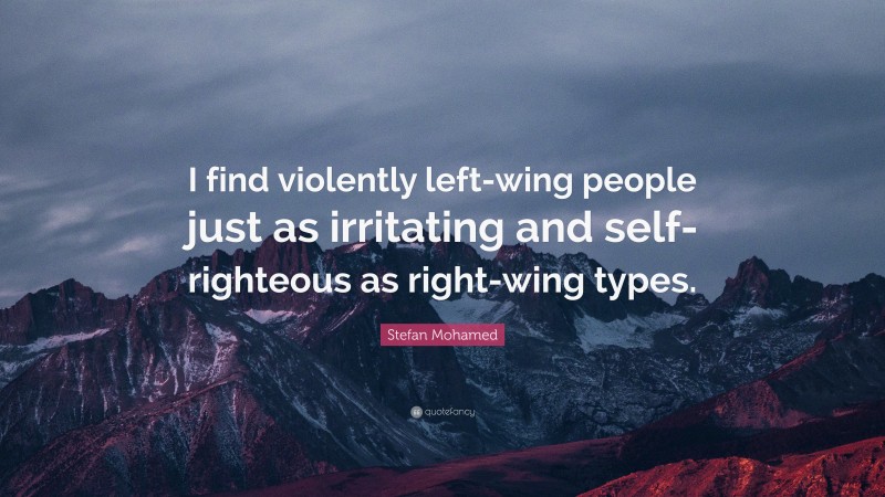 Stefan Mohamed Quote: “I find violently left-wing people just as irritating and self-righteous as right-wing types.”