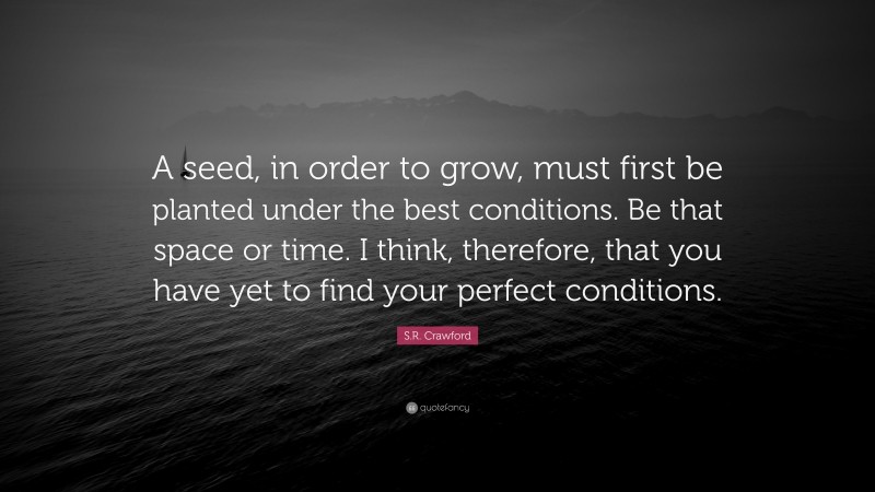 S.R. Crawford Quote: “A seed, in order to grow, must first be planted under the best conditions. Be that space or time. I think, therefore, that you have yet to find your perfect conditions.”