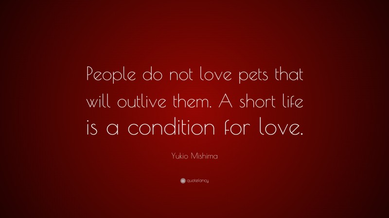 Yukio Mishima Quote: “People do not love pets that will outlive them. A short life is a condition for love.”