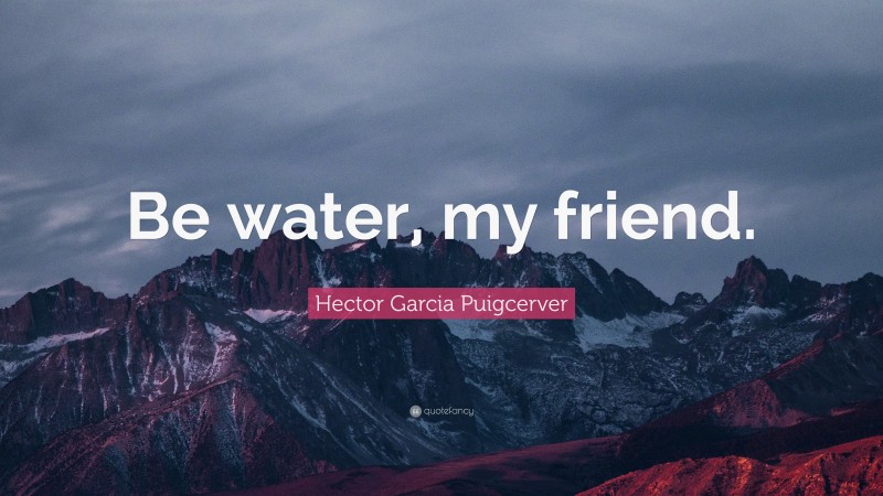 Hector Garcia Puigcerver Quote: “Be water, my friend.”