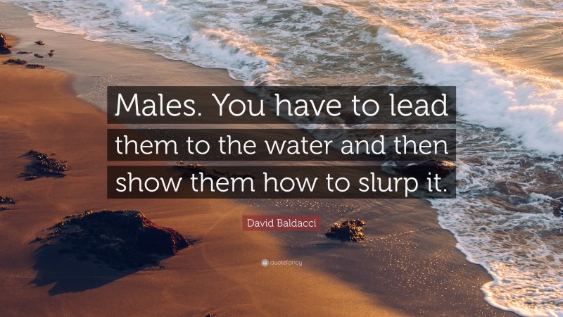 David Baldacci Quote: “Males. You have to lead them to the water and then show them how to slurp it.”