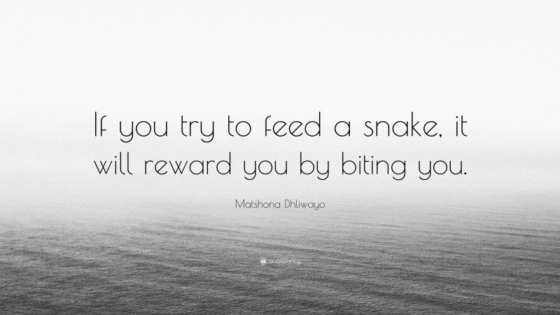 Matshona Dhliwayo Quote: “If you try to feed a snake, it will reward you by biting you.”
