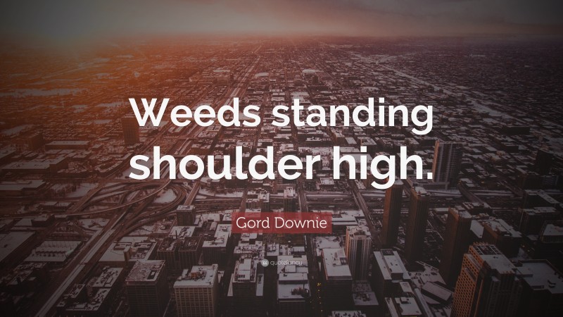 Gord Downie Quote: “Weeds standing shoulder high.”