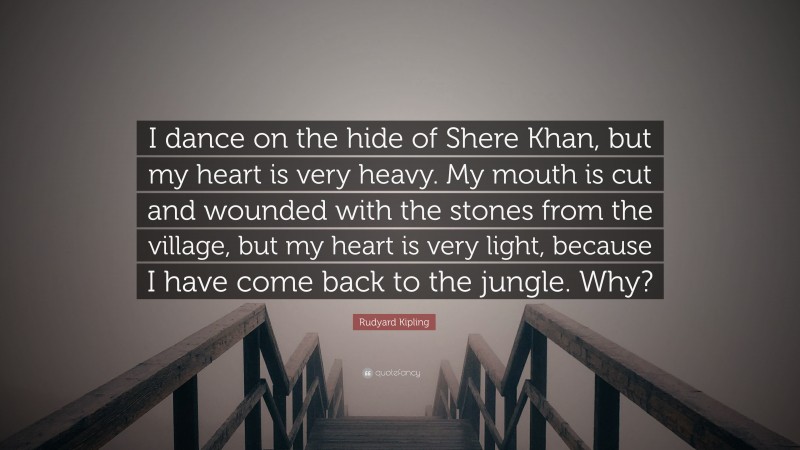 Rudyard Kipling Quote: “I dance on the hide of Shere Khan, but my heart is very heavy. My mouth is cut and wounded with the stones from the village, but my heart is very light, because I have come back to the jungle. Why?”
