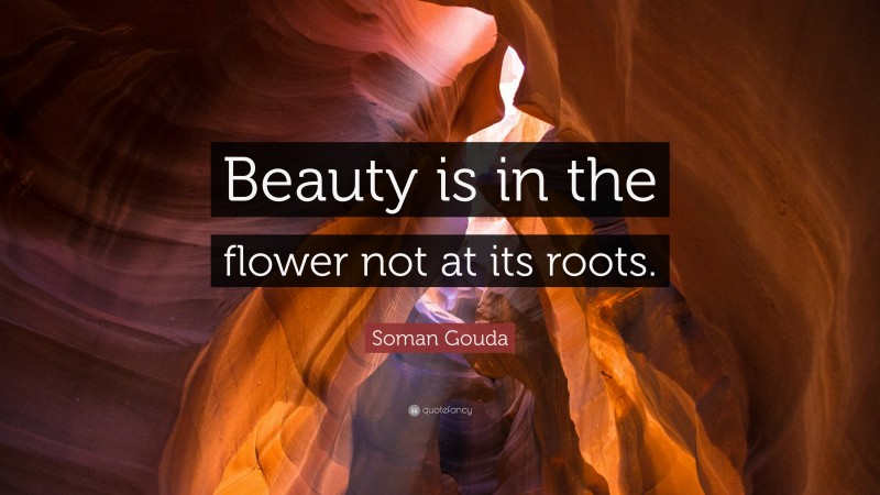 Soman Gouda Quote: “Beauty is in the flower not at its roots.”