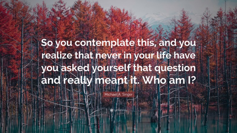 Michael A. Singer Quote: “So you contemplate this, and you realize that never in your life have you asked yourself that question and really meant it. Who am I?”