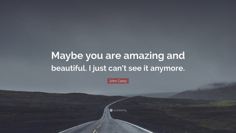 John Casey Quote: “Maybe you are amazing and beautiful. I just can’t see it anymore.”