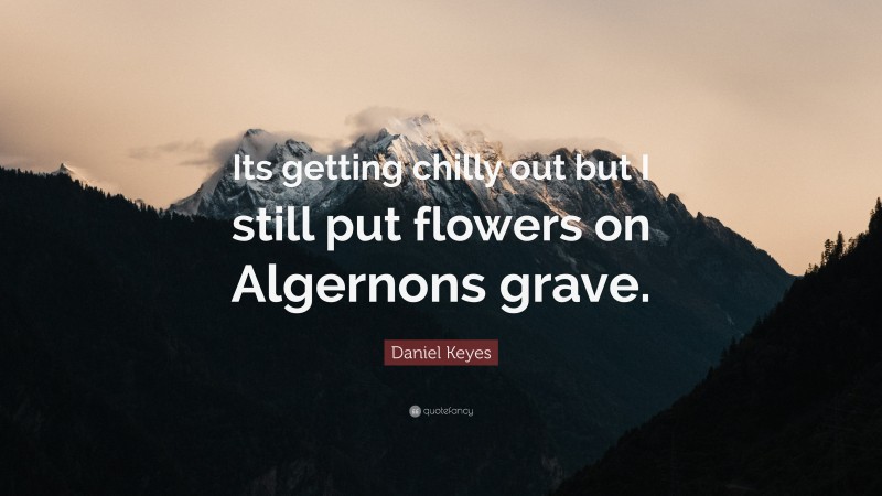 Daniel Keyes Quote: “Its getting chilly out but I still put flowers on Algernons grave.”