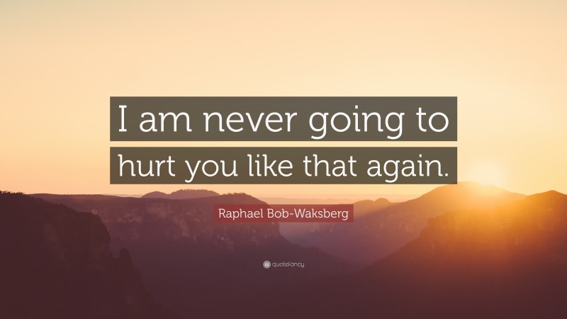 Raphael Bob-Waksberg Quote: “I am never going to hurt you like that again.”