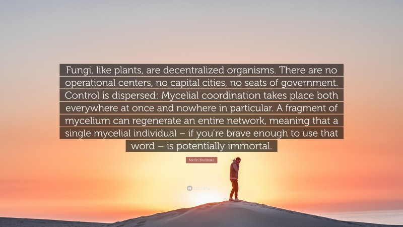 Merlin Sheldrake Quote: “Fungi, like plants, are decentralized organisms. There are no operational centers, no capital cities, no seats of government. Control is dispersed: Mycelial coordination takes place both everywhere at once and nowhere in particular. A fragment of mycelium can regenerate an entire network, meaning that a single mycelial individual – if you’re brave enough to use that word – is potentially immortal.”