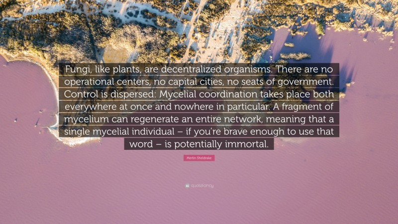 Merlin Sheldrake Quote: “Fungi, like plants, are decentralized organisms. There are no operational centers, no capital cities, no seats of government. Control is dispersed: Mycelial coordination takes place both everywhere at once and nowhere in particular. A fragment of mycelium can regenerate an entire network, meaning that a single mycelial individual – if you’re brave enough to use that word – is potentially immortal.”
