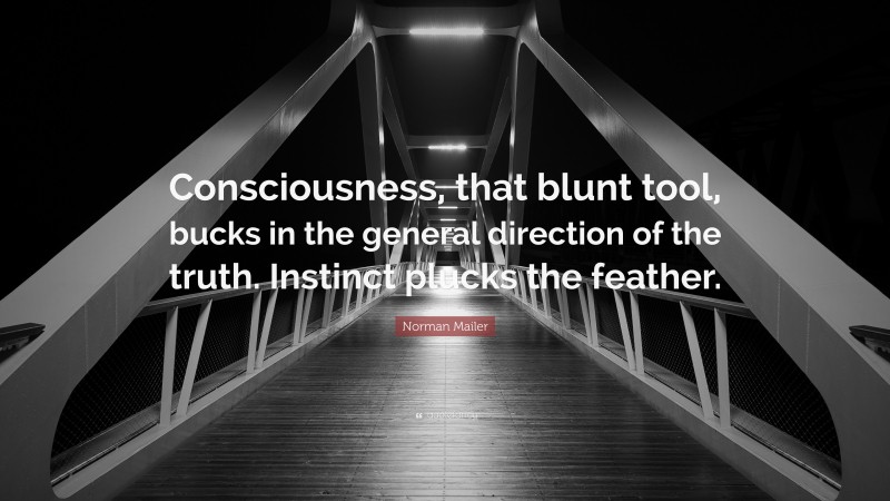 Norman Mailer Quote: “Consciousness, that blunt tool, bucks in the general direction of the truth. Instinct plucks the feather.”