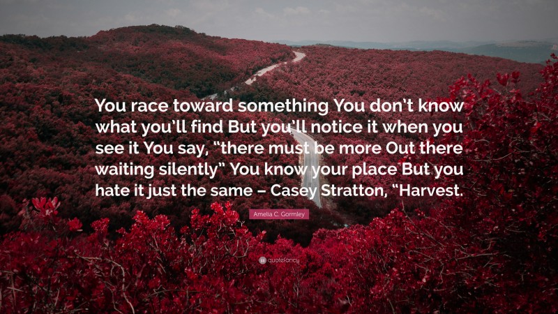 Amelia C. Gormley Quote: “You race toward something You don’t know what you’ll find But you’ll notice it when you see it You say, “there must be more Out there waiting silently” You know your place But you hate it just the same – Casey Stratton, “Harvest.”