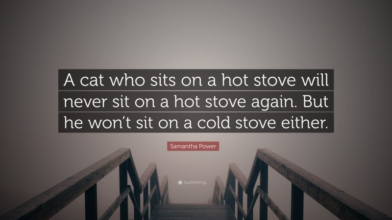 Samantha Power Quote: “A cat who sits on a hot stove will never sit on a hot stove again. But he won’t sit on a cold stove either.”