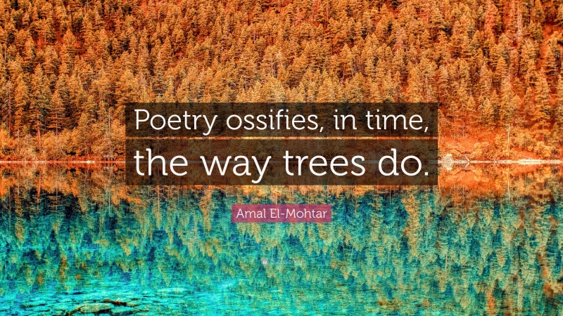 Amal El-Mohtar Quote: “Poetry ossifies, in time, the way trees do.”