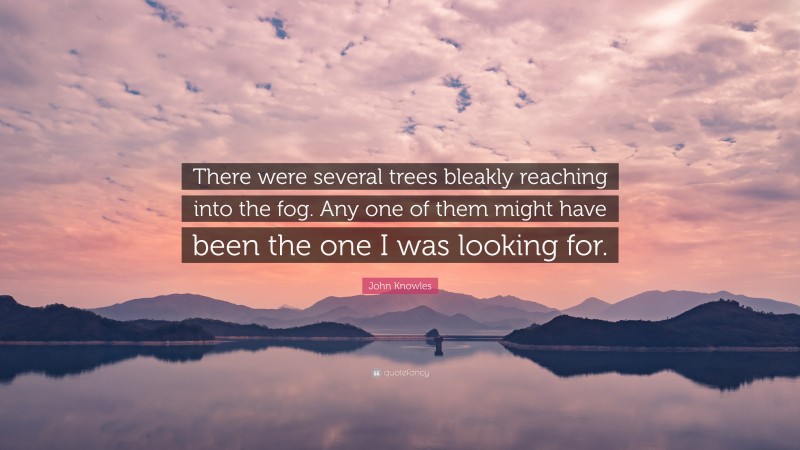 John Knowles Quote: “There were several trees bleakly reaching into the fog. Any one of them might have been the one I was looking for.”