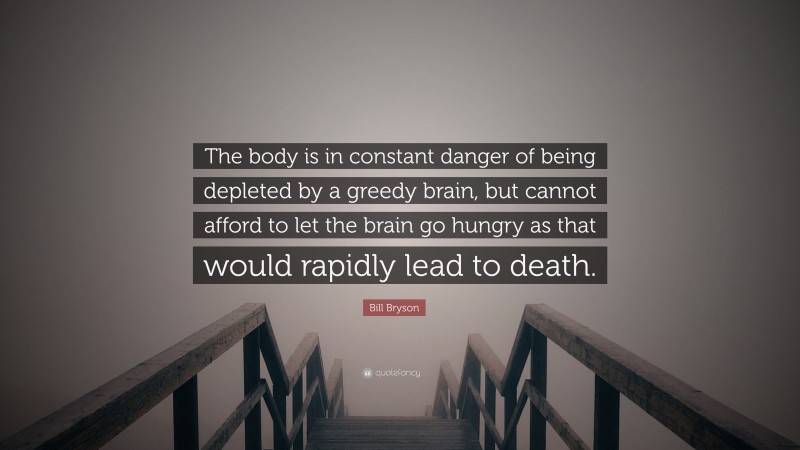 Bill Bryson Quote: “The body is in constant danger of being depleted by a greedy brain, but cannot afford to let the brain go hungry as that would rapidly lead to death.”