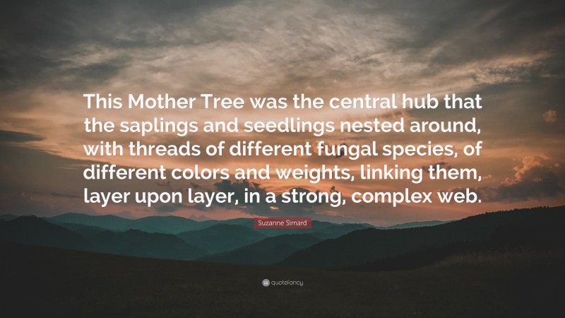 Suzanne Simard Quote: “This Mother Tree was the central hub that the saplings and seedlings nested around, with threads of different fungal species, of different colors and weights, linking them, layer upon layer, in a strong, complex web.”