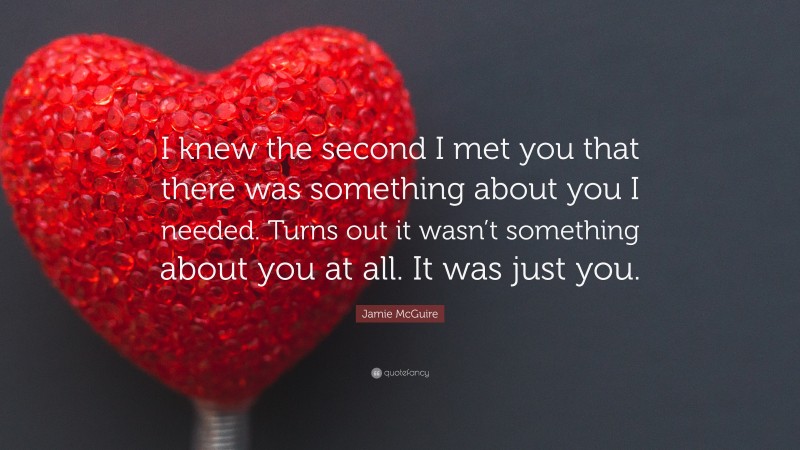 Jamie McGuire Quote: “I knew the second I met you that there was something about you I needed. Turns out it wasn’t something about you at all. It was just you.”