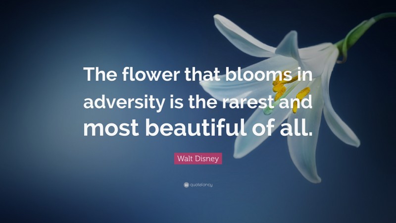 Walt Disney Quote: “The flower that blooms in adversity is the rarest and most beautiful of all.”