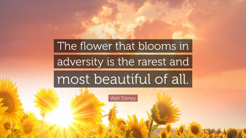 Walt Disney Quote: “The flower that blooms in adversity is the rarest and most beautiful of all.”