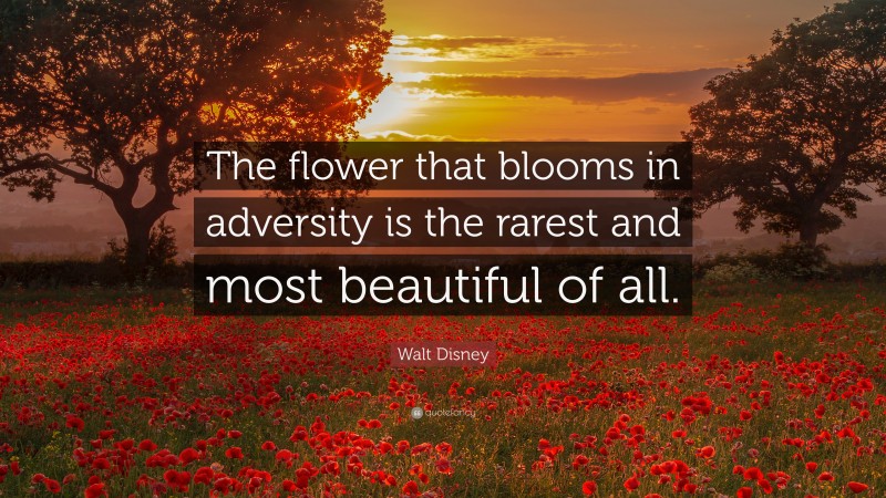 Walt Disney Quote: “The flower that blooms in adversity is the rarest ...