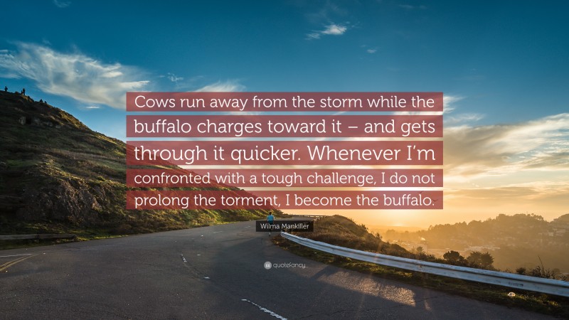 Wilma Mankiller Quote: “Cows run away from the storm while the buffalo charges toward it – and gets through it quicker. Whenever I’m confronted with a tough challenge, I do not prolong the torment, I become the buffalo.”
