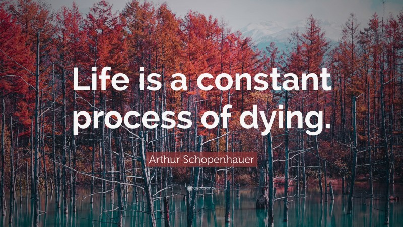 Arthur Schopenhauer Quote: “Life is a constant process of dying.”