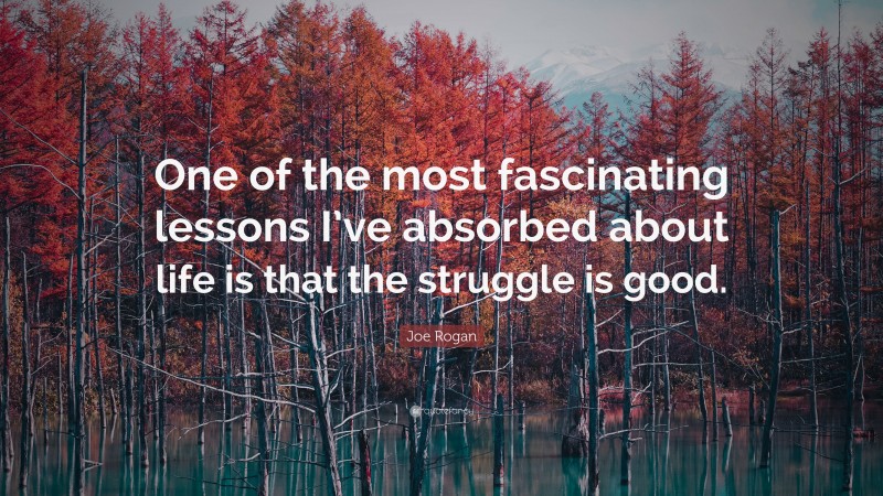Joe Rogan Quote: “One of the most fascinating lessons I’ve absorbed about life is that the struggle is good.”