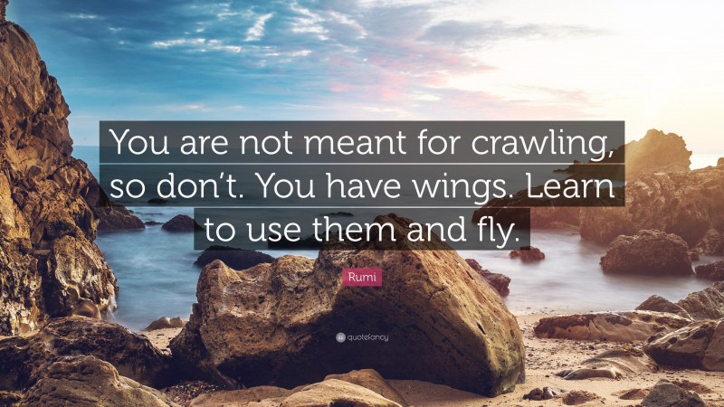 Rumi Quote: “You are not meant for crawling, so don’t. You have wings. Learn to use them and fly.”