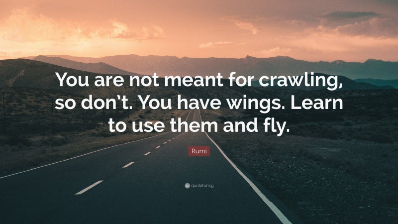 Rumi Quote: “You are not meant for crawling, so don’t. You have wings. Learn to use them and fly.”
