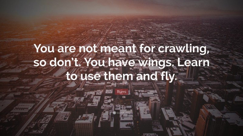 Rumi Quote: “You are not meant for crawling, so don’t. You have wings. Learn to use them and fly.”
